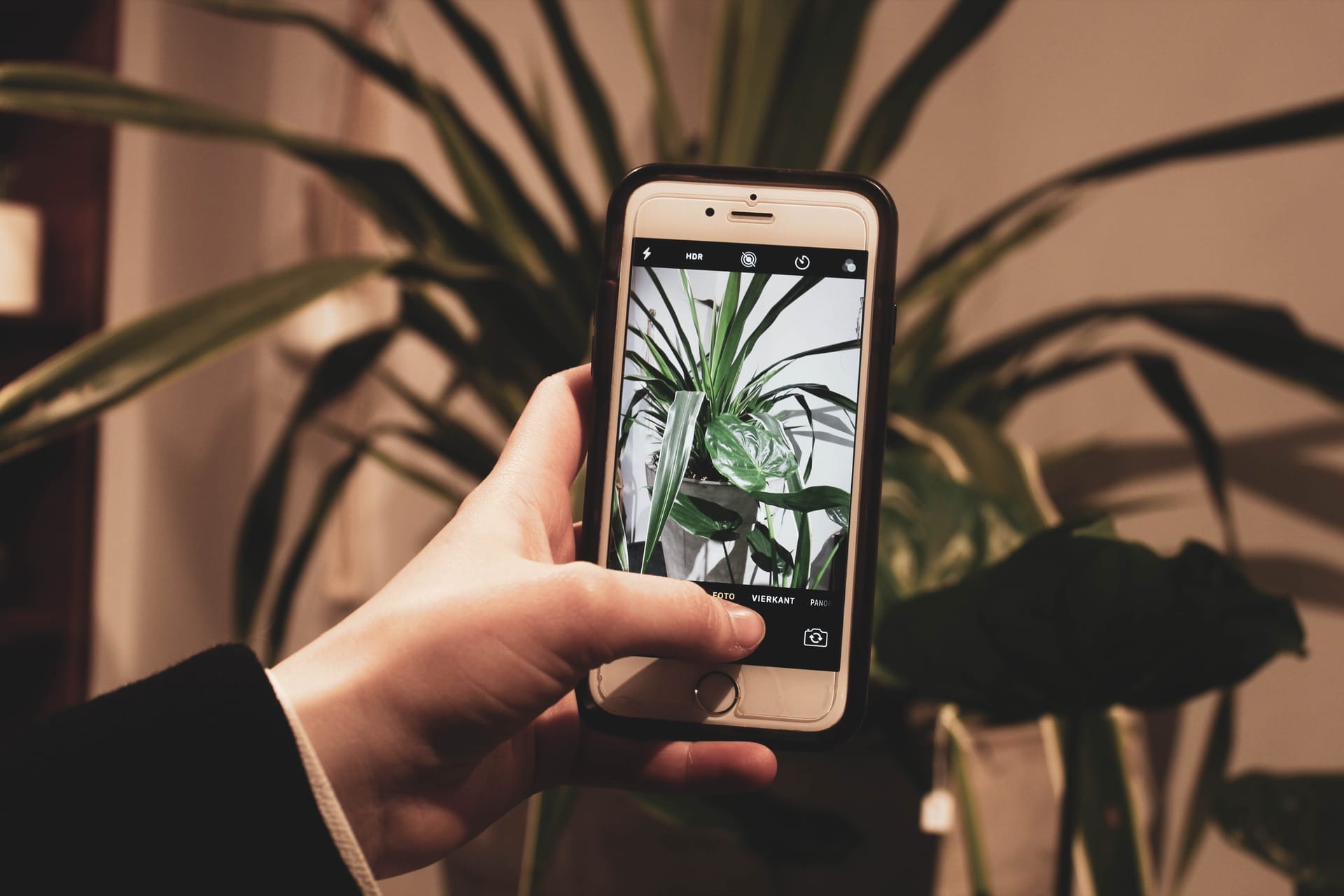 Top 10 Photo Tips to Sell Your Items Faster Online